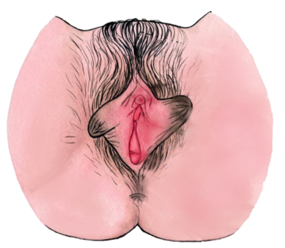 HitClit website icon